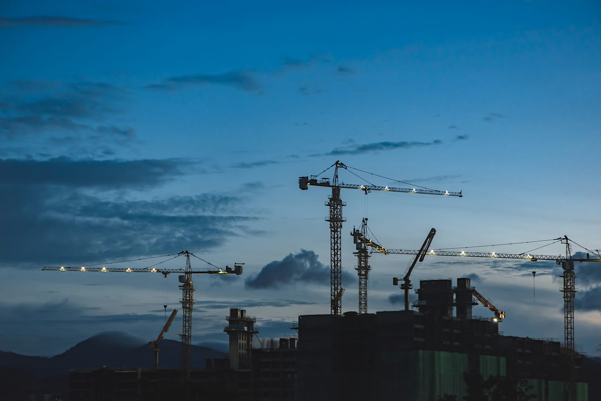 Cranes at sunset