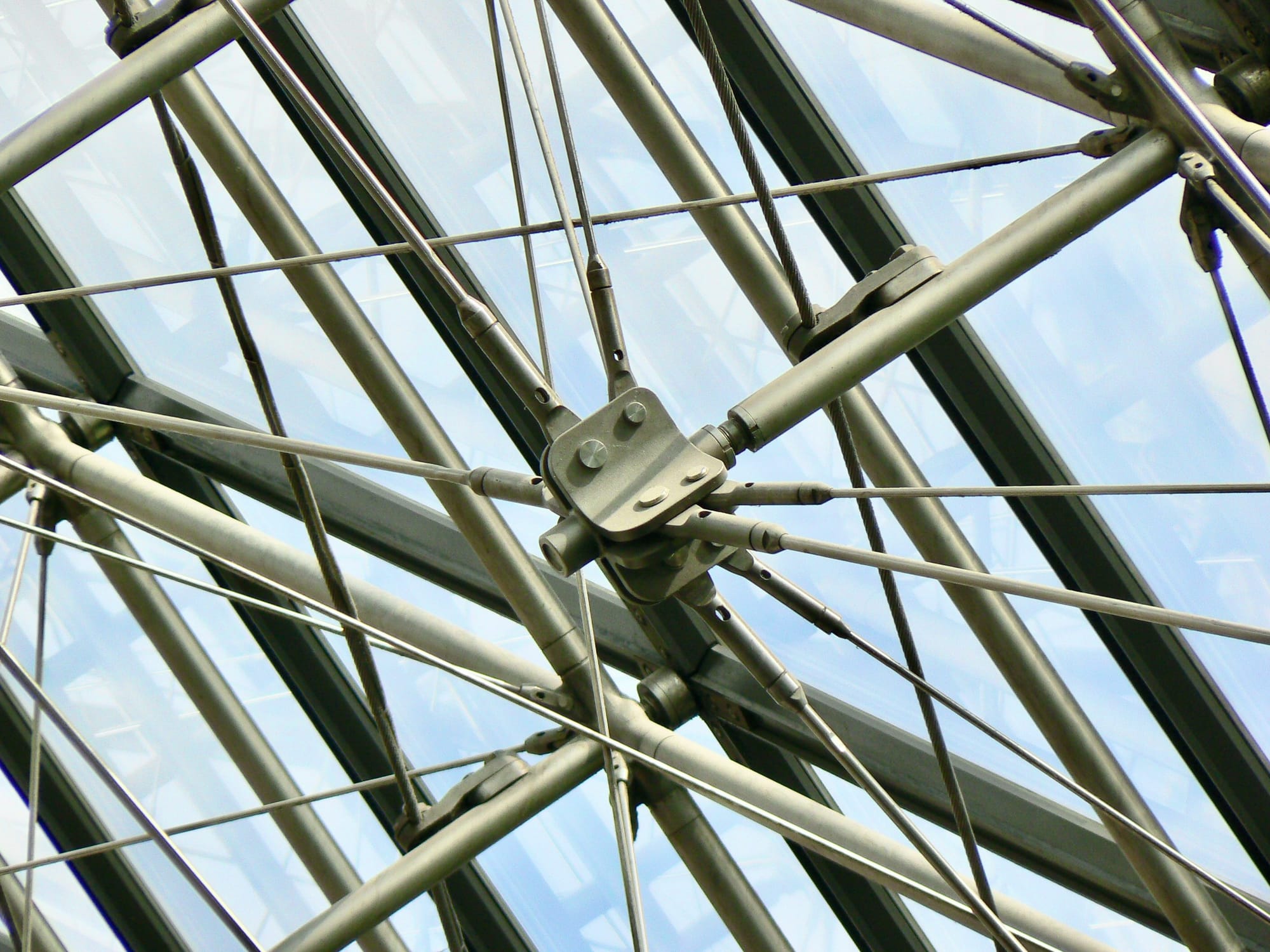 Connected struts